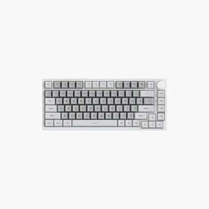 AJAZZ AK820 75% Gasket-Mounted White Backlit Wired Mechanical Keyboard
