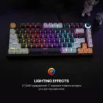 Fantech MK875V2 ATOM 81 RGB Wired Mechanical Gaming Keyboard MIZU EDITION - Image 4
